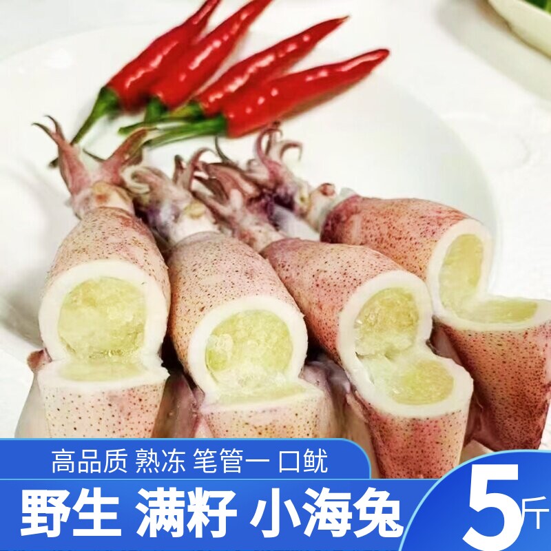 熟冻新鲜东海野生小笔管鱿鱼满籽