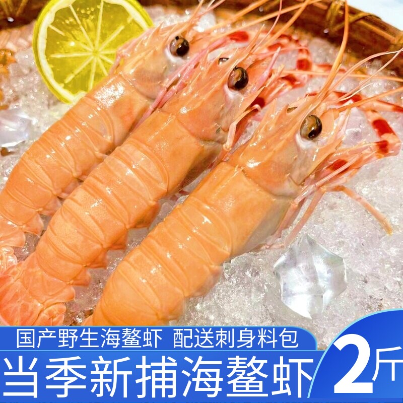 舟山海鳌虾国产新鲜鳌虾刺身虾大海鳌虾甜虾当季新鳌虾刺身