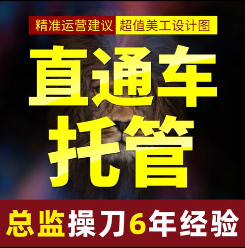 直通车托管直通车优化数据魔方优化推广人工指导直通车图设计优化