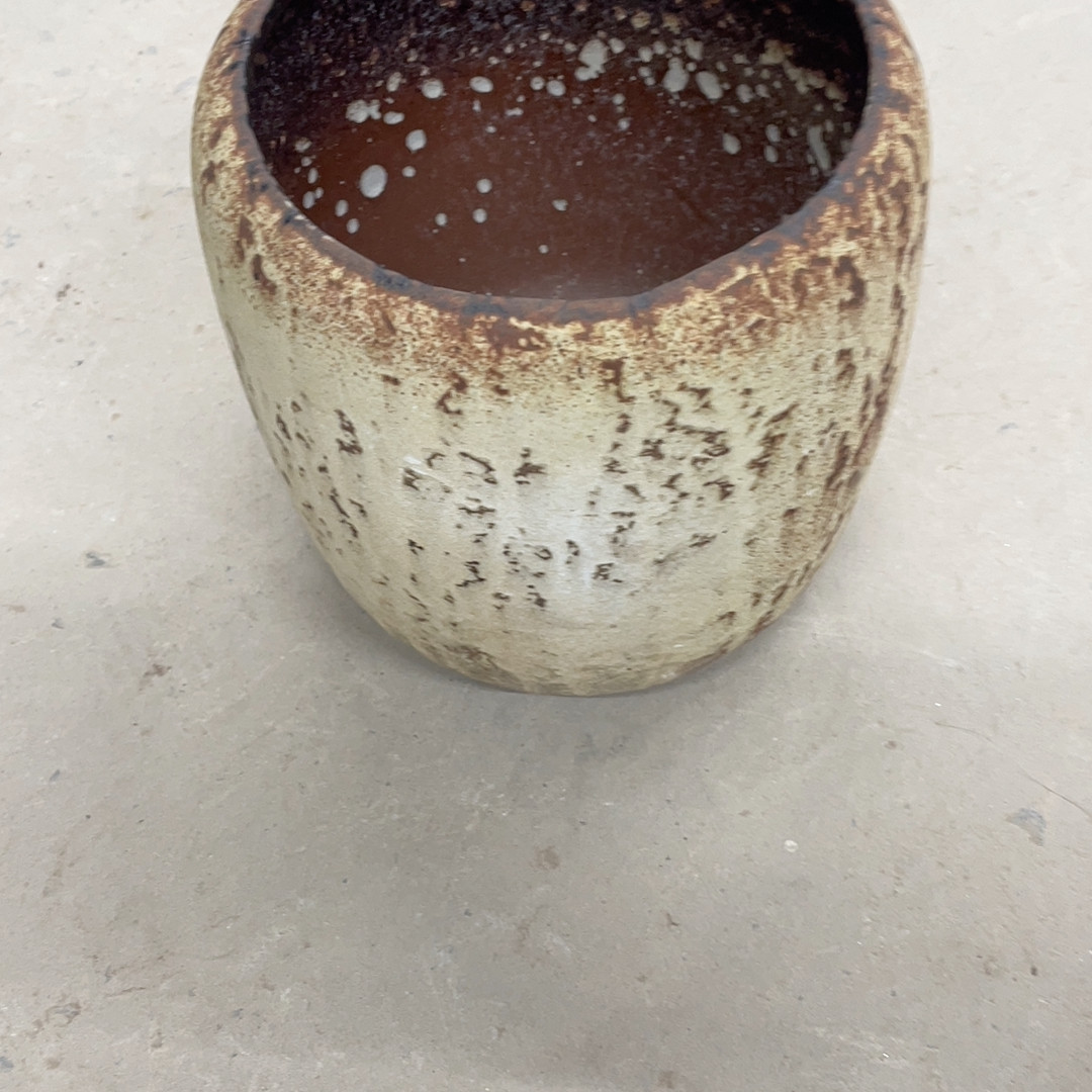 口14/21正品,家居饰品,花盆,淘宝优惠券,粉丝福利购,淘宝优惠卷