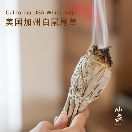 美国加州进口白鼠尾草WhiteSage