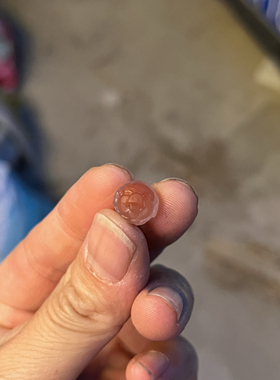 天然南红玛瑙耳钉生肖猪鸿运当头10mm苏工雕刻冰飘单珠子腰珠配饰