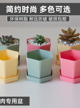 树脂迷你可爱六角形蜂窝状花盆