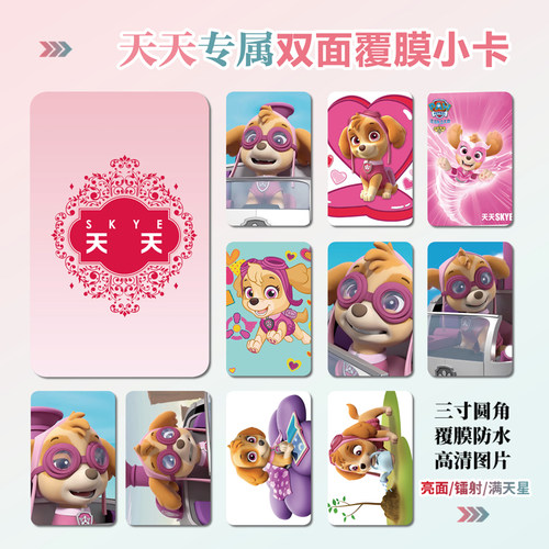 汪汪队立大功天天小卡片照片贴纸