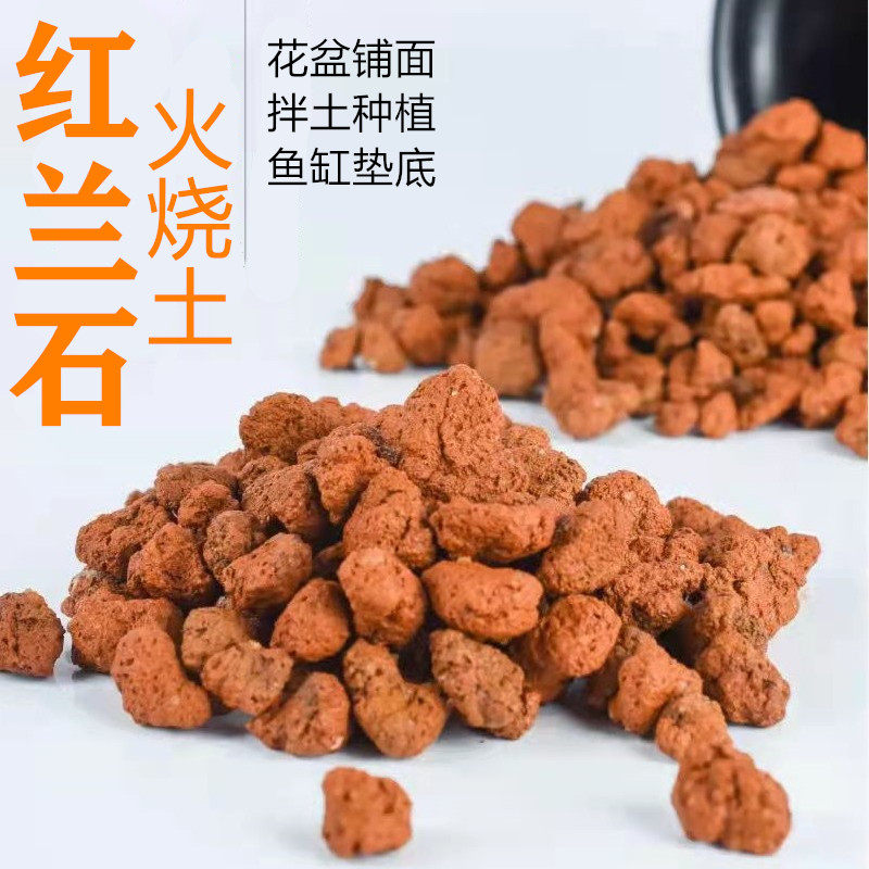 火烧土铺面石颗粒红兰石拌土种植多肉铺面土调节土壤透气兰花植料