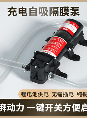 自吸隔膜泵锂电池供电泵家用自吸增压喷雾器抽水泵洗车清洗机高压