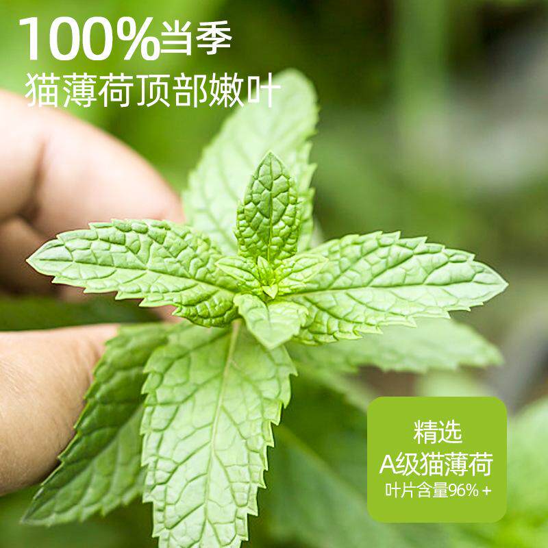 猫薄荷粉末可食用饮水去毛球猫草幼猫化毛猫饼干猫咪零食逗猫用品