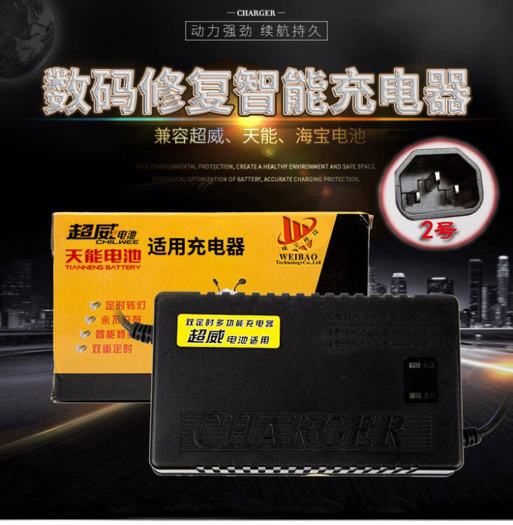 适用于捷安特专用电动车充电器48V12AH 48V20AH 36V12AH 60V20AH