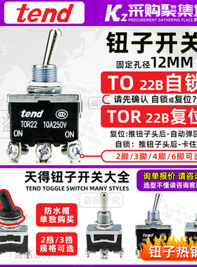 原装正品天得TEND 自动复位钮子开关摇头TOR22 6脚两档 10A 250V