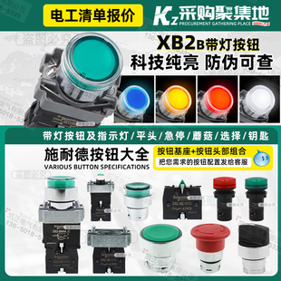 BWM 施耐德帶燈按鈕開關復位XB2BW33B1C ZB2BE101C BWB 220V 24V