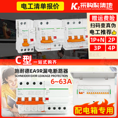 施耐德家用断路总闸E9空气开关带漏电保护器C型D型 1P+N 2P 3P 4P