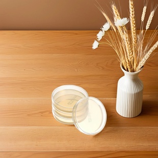 10 Pcs Nutrient Agar Plates 7cm Pre Poured Petri Dishes Ind