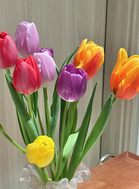 已到货5度球新款4颗郁金香水培套装带定植篮大种球花卉风信子耐寒