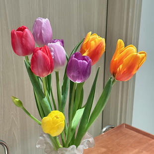 已到货5度球新款 带定植篮大种球花卉风信子耐寒 4颗郁金香水培套装