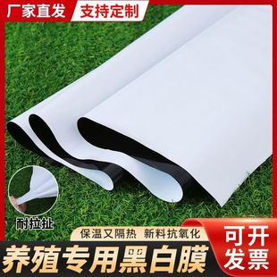 农用黑白膜食用菌种植专用鱼塘防水家禽养殖抗老化加厚进口黑白膜