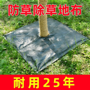 防草布除草布耐用果园果树遮草塑料布透气保湿盖草切片抗老化地布