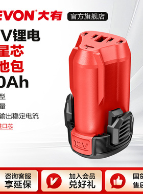 大有12V锂电池5165充电器5385适配大有12V无刷产品电动工具