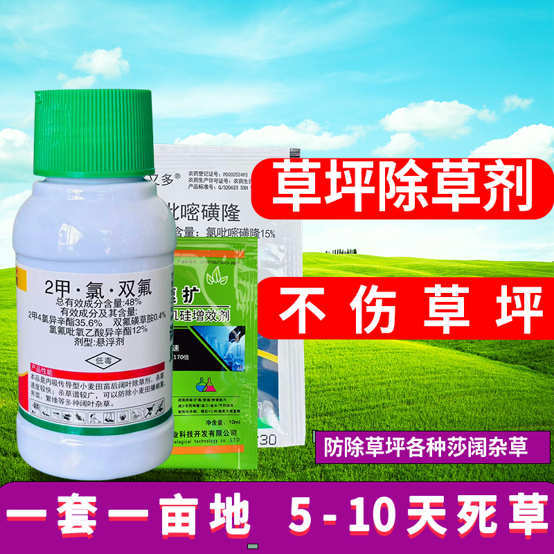 草坪除草剂除香附子莎草阔叶杂草马尼拉四季青果岭草百慕大狗牙根 - 实物图