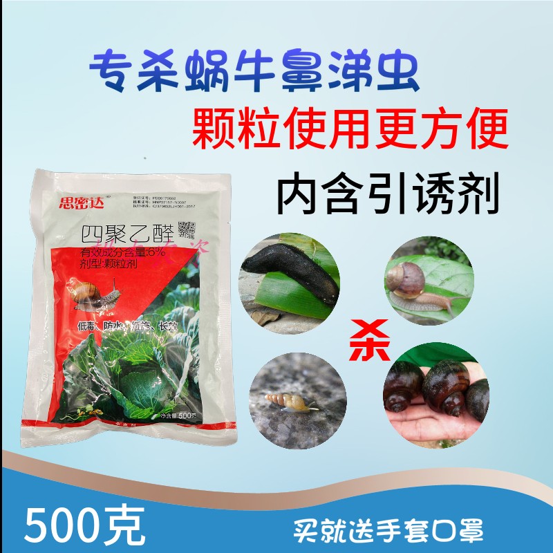 樹的秘密生活