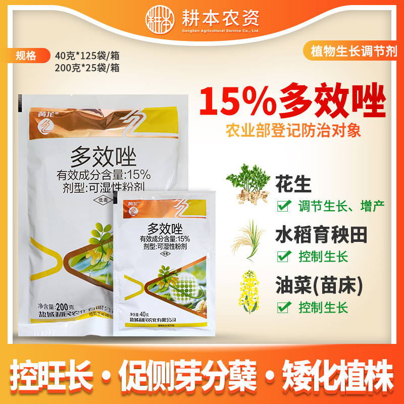 多效唑水稻花生小麦芒果柑橘多肉果树植物控旺徒长矮化剂矮壮素