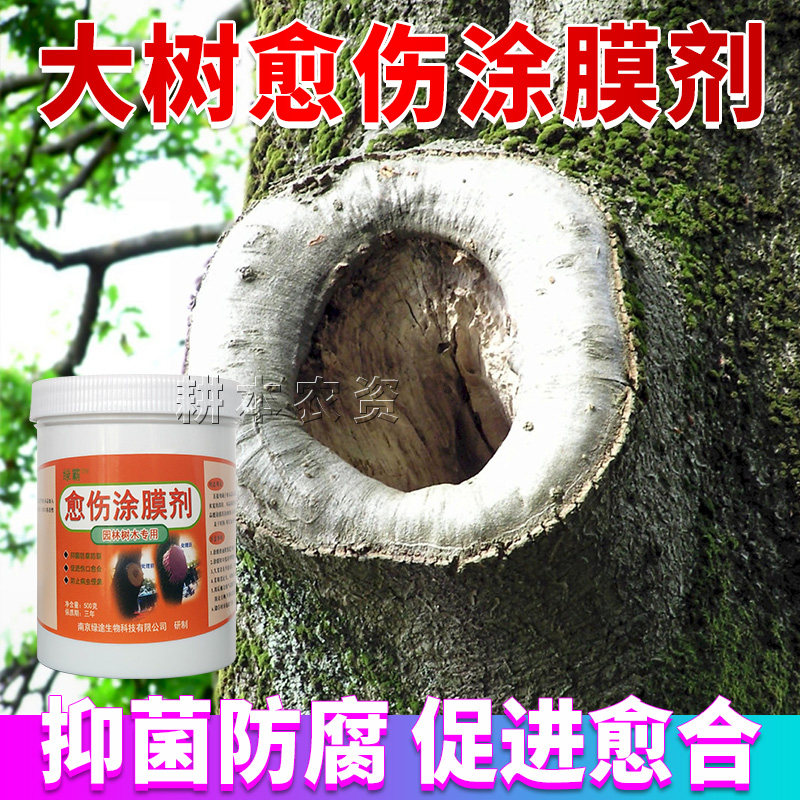 愈伤膏大树伤口愈合涂抹剂盆景大果树绿化苗木移栽修剪嫁接专用药