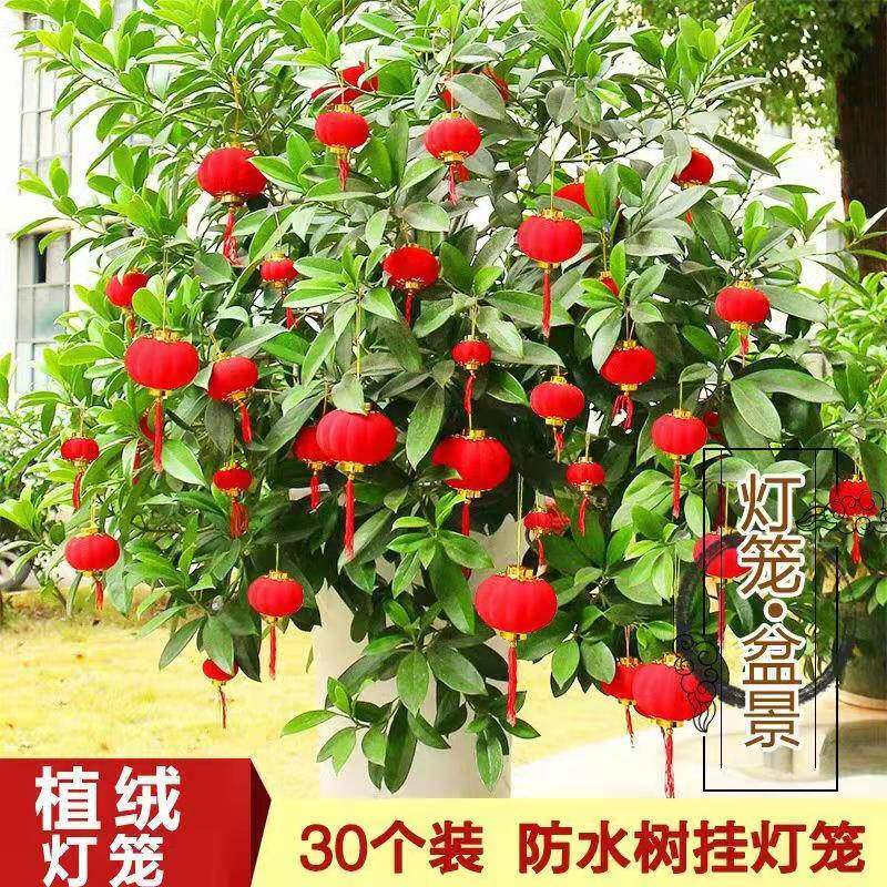 婚庆用品 植绒连串小灯笼 喜庆灯笼