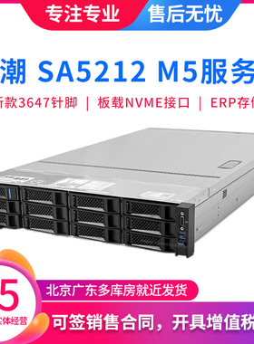 浪潮 SA5212 5280 M5 服务器 支持NVME U.2 大显卡 8175M R740XD