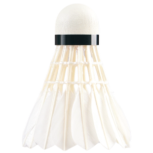 李宁羽毛球超级耐打g100室外防风g200专业训练ks15正品凯胜鹅毛球