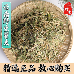 瞿麦中药材云南野生瞿麦 巨麦 翟麦 竹节草