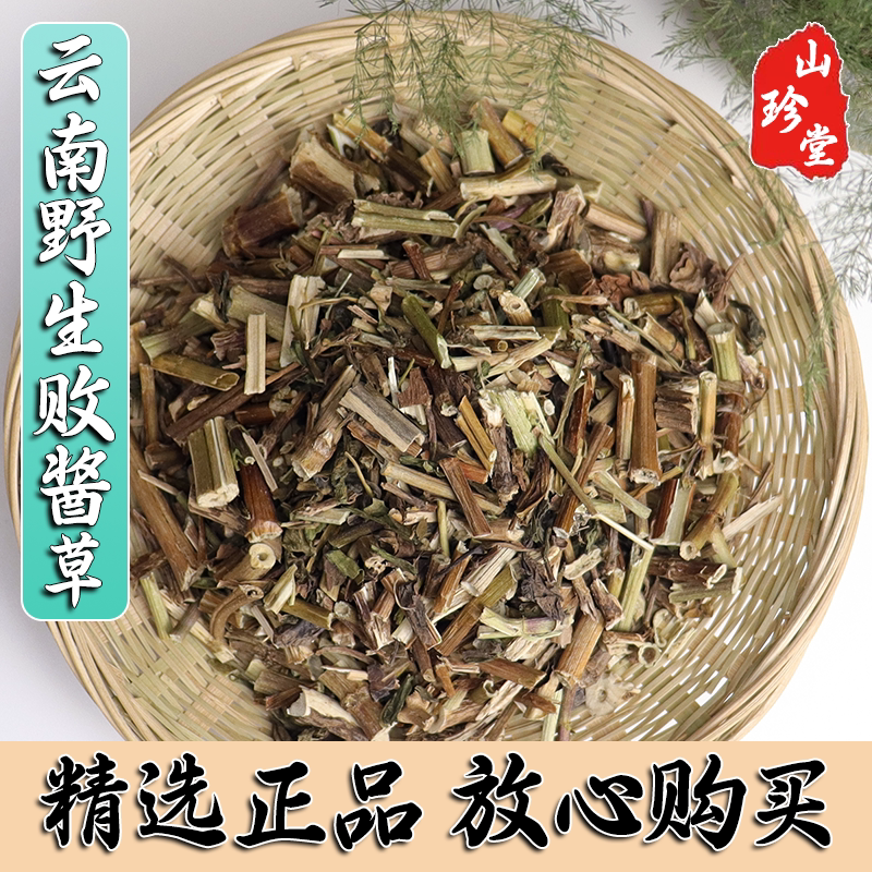 败酱草中药材云南野生