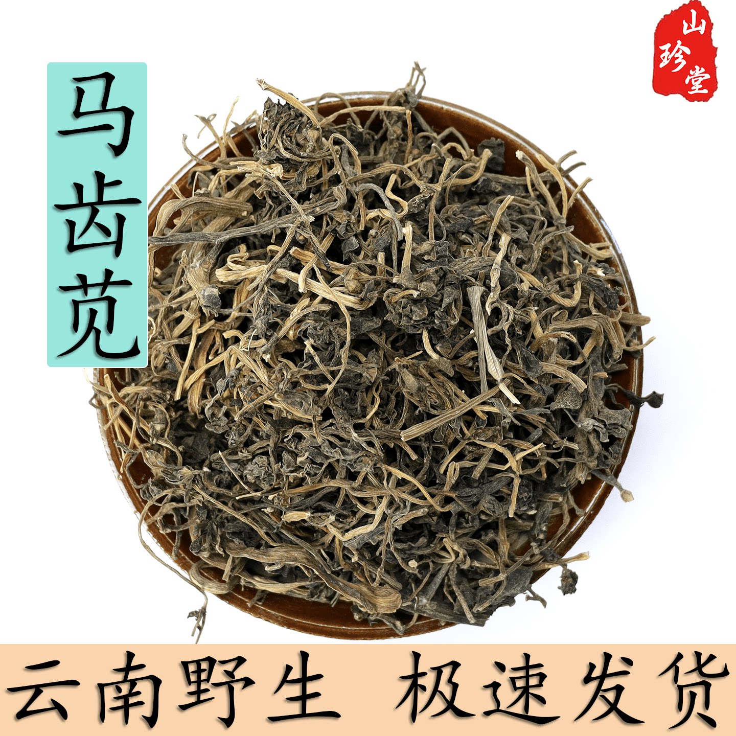 中药材云南野生马齿苋