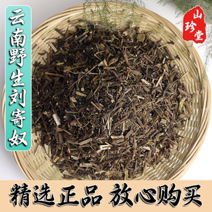 刘寄奴中药材云南野生刘寄奴 北刘寄奴 阴行草 土茵陈 铃茵陈