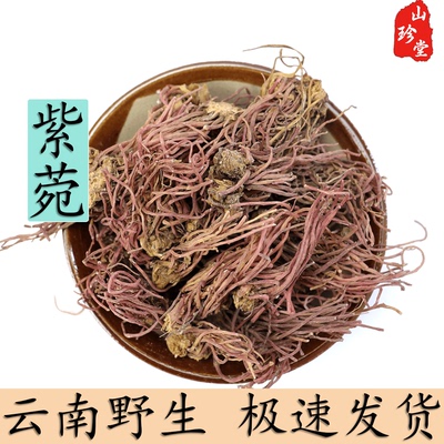 紫菀中药材云南野外深山紫苑