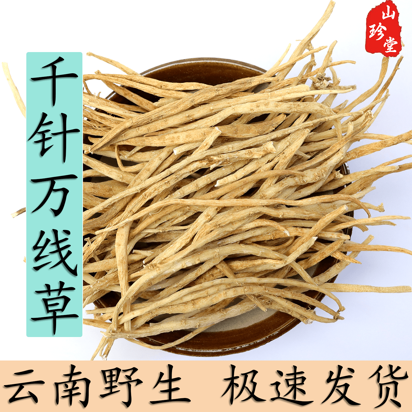 千针万线草中药材 麦参 云南繁缕根 千根万线草 筋骨草 大鹅肠菜