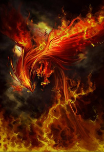 精准印花法国正品DMC十字绣 客厅玄关 凤凰涅槃 浴火重生 火凤凰