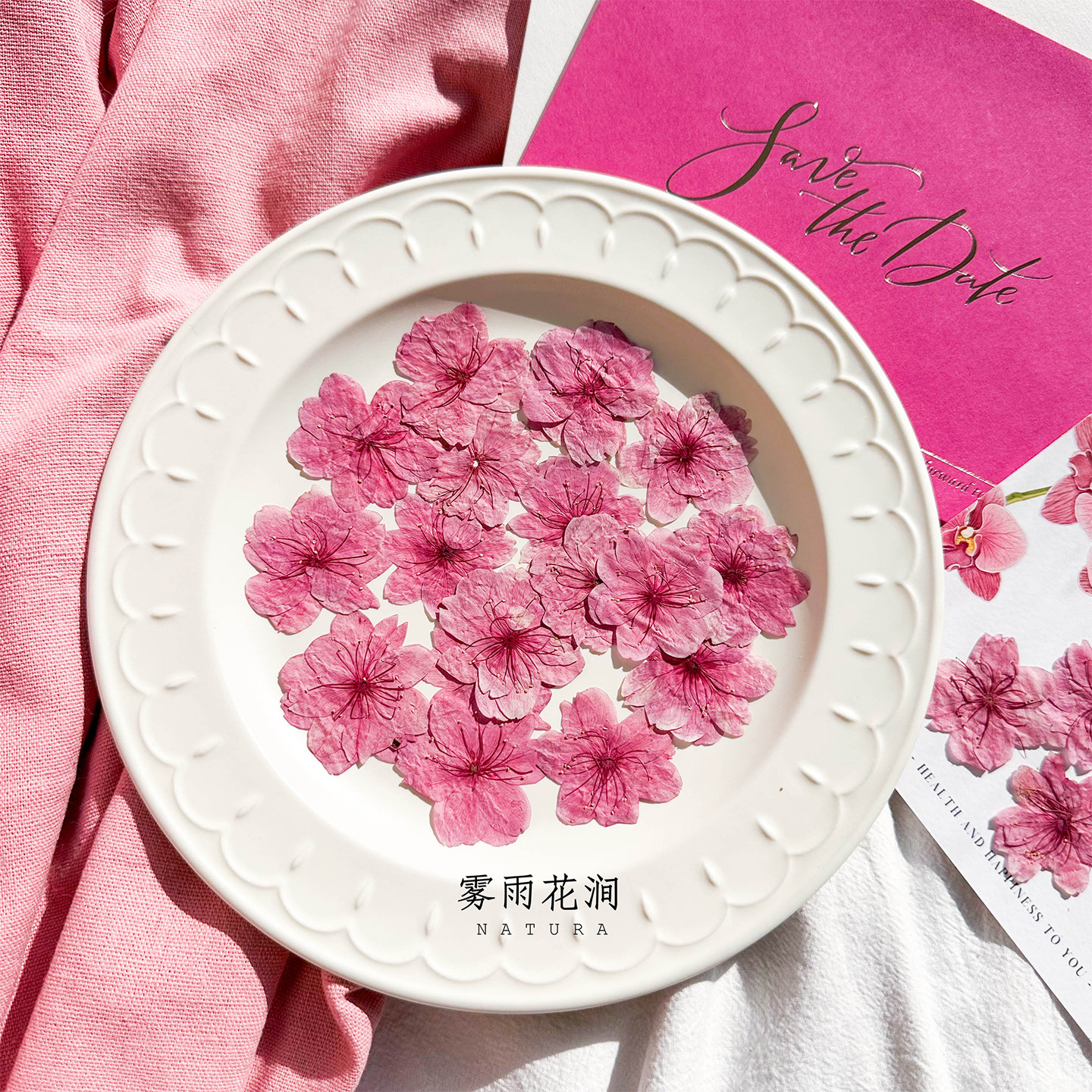 粉樱花真花标本滴胶手机壳押花标本装饰画相框画手工婚礼请柬花材