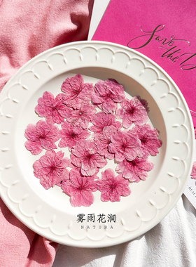 粉樱花真花标本滴胶手机壳押花标本装饰画相框画手工婚礼请柬花材