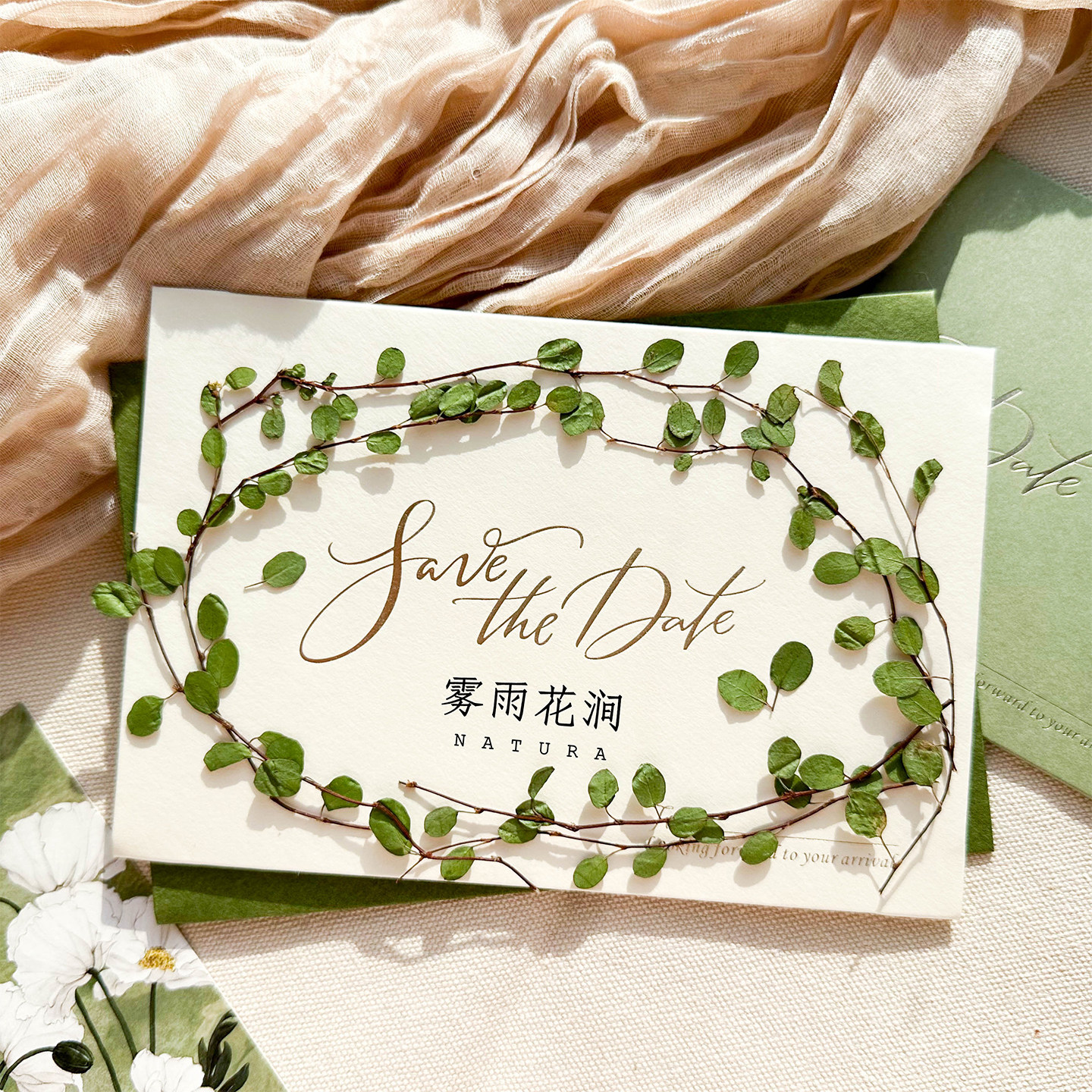 千叶吊兰标本ins风天然绿色植物干花婚礼请柬装饰手账压花书签diy