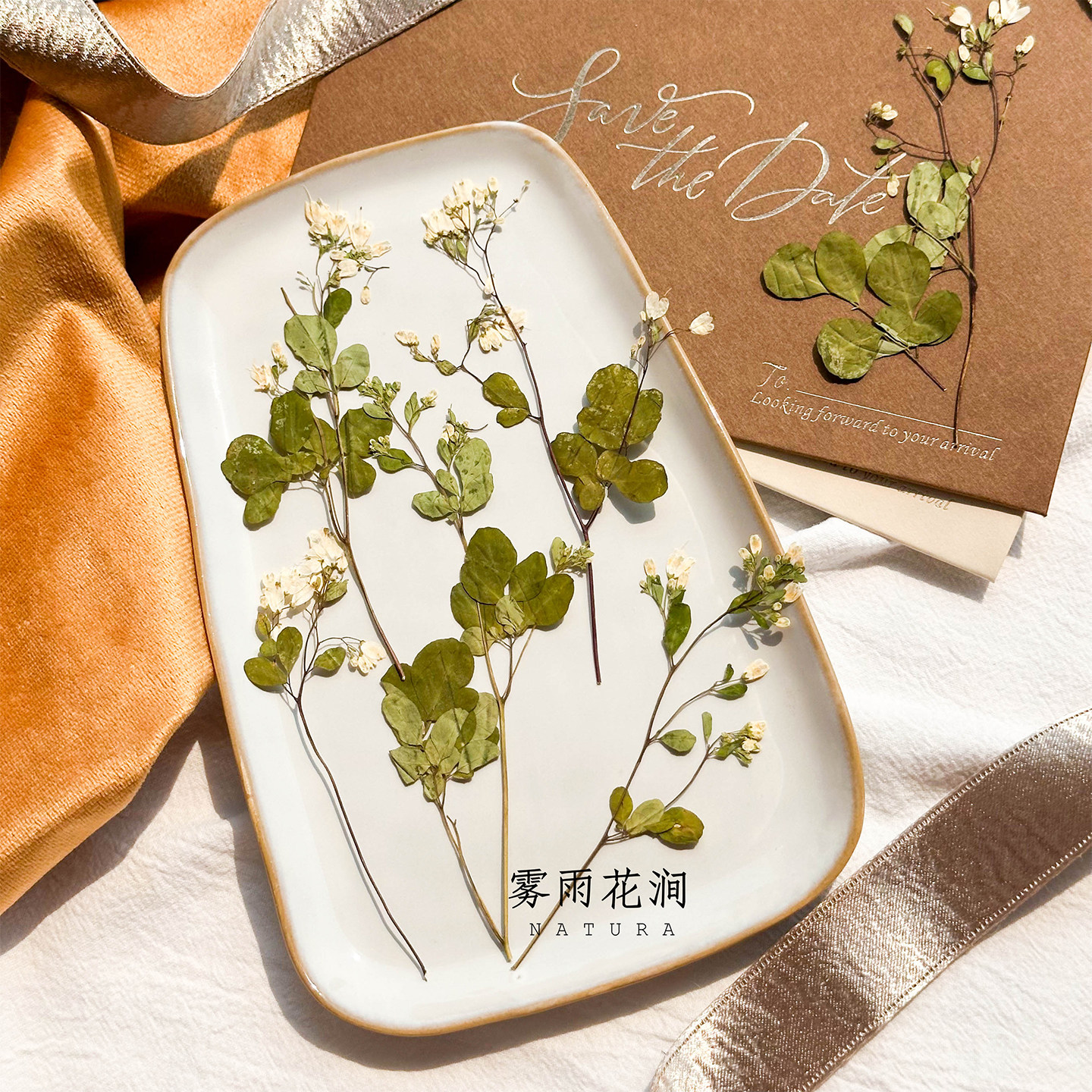 唐松芽植物标本押花干花相框diy手机壳滴胶压花材料创意请柬手账,家居饰品,干花/花瓣/干花包/干树枝,淘宝优惠券,粉丝福利购,淘宝优惠卷