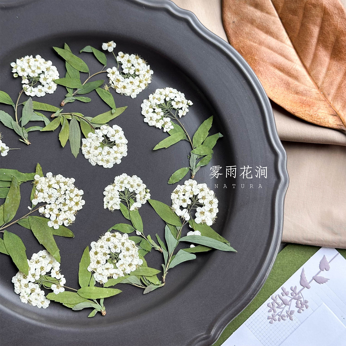 清新ins风白色干花绣线球带枝小水仙压花书签婚礼请柬治愈diy手工