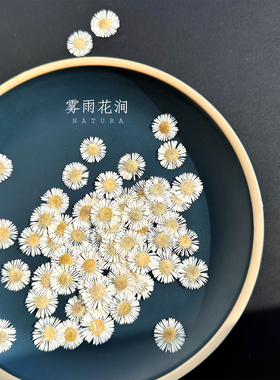 精品染白色针菊押花滴胶手机壳diy杯垫压花相框画婚礼请柬贺卡