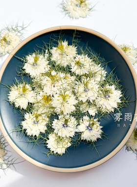 天然色黑种草干花押花 植物标本手作滴胶手机壳diy书签贺卡押花画