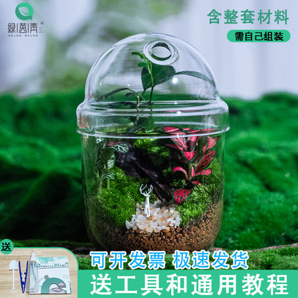 厂家批发生态苔藓微景观DIY材料包学校团建活动创意生态瓶自己做