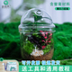 厂家批发生态苔藓微景观DIY材料包学校团建活动创意生态瓶自己做