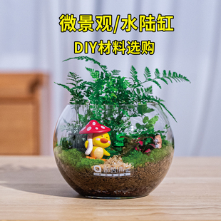 微景观材料包苔藓瓶活动团建桌面DIY生态瓶制作材料水陆缸材料