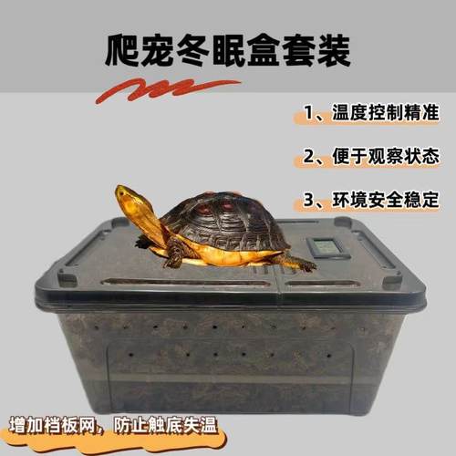 智利毛毛虫水苔乌龟冬眠用品