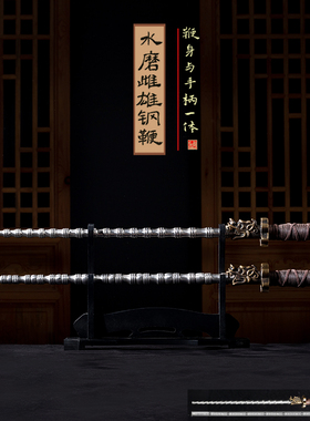 弹簧钢一体雌雄钢鞭实心双鞭双锏实战防身武术训练送架子背袋教程