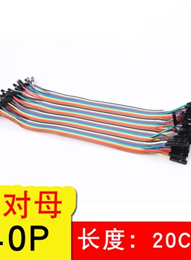 40P杜邦线公对母 公转母头 彩排线 面包线 长约20CM 21cm 2.54MM