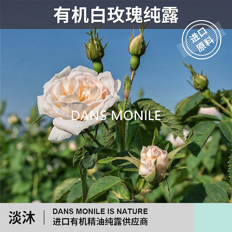 保加利亚白玫瑰纯露保湿