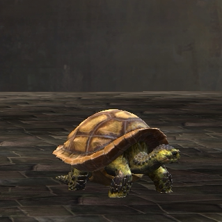 激战2慢慢龟龟椅商城道具黑狮宝石含wegame